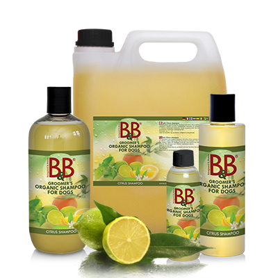 B&B Økologisk Citrus Shampoo