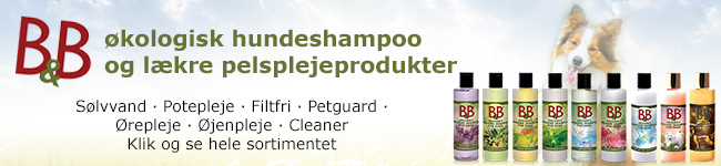 B&B Økologisk Shampoo